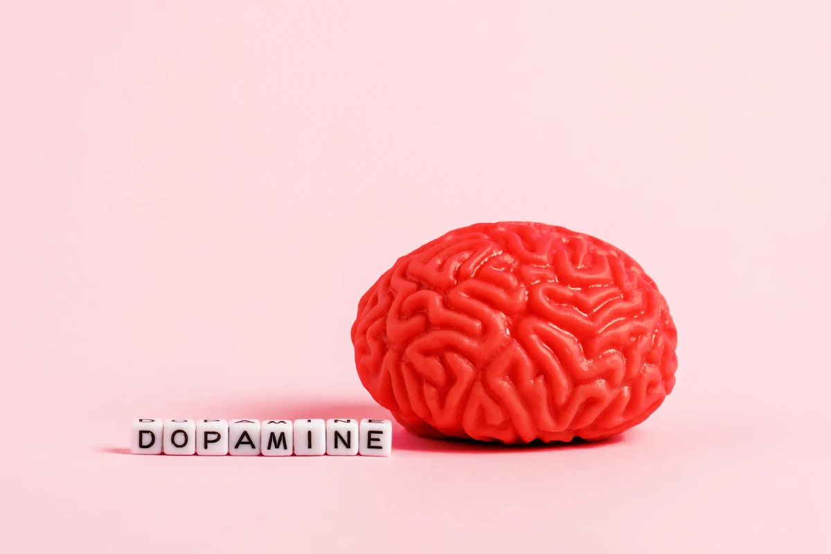 Red brain model with 'DOPAMINE' spelled on pink background